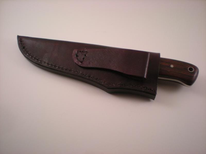 DSCN1203.jpg