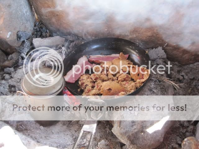 IMG_0462.jpg