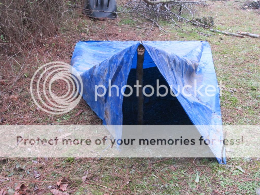 056_zps3db2209d.jpg