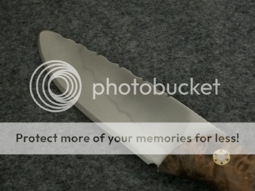 OUTBACK016.jpg