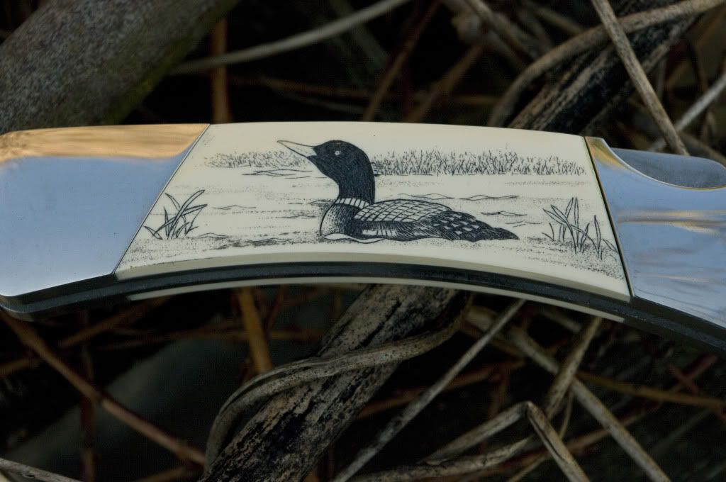 Buck500Birds_1.jpg