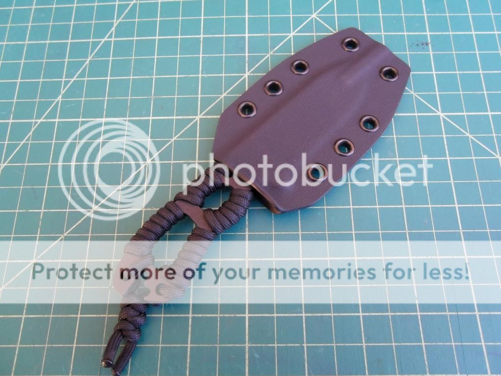 SAM_4209_zps45c8de86.jpg