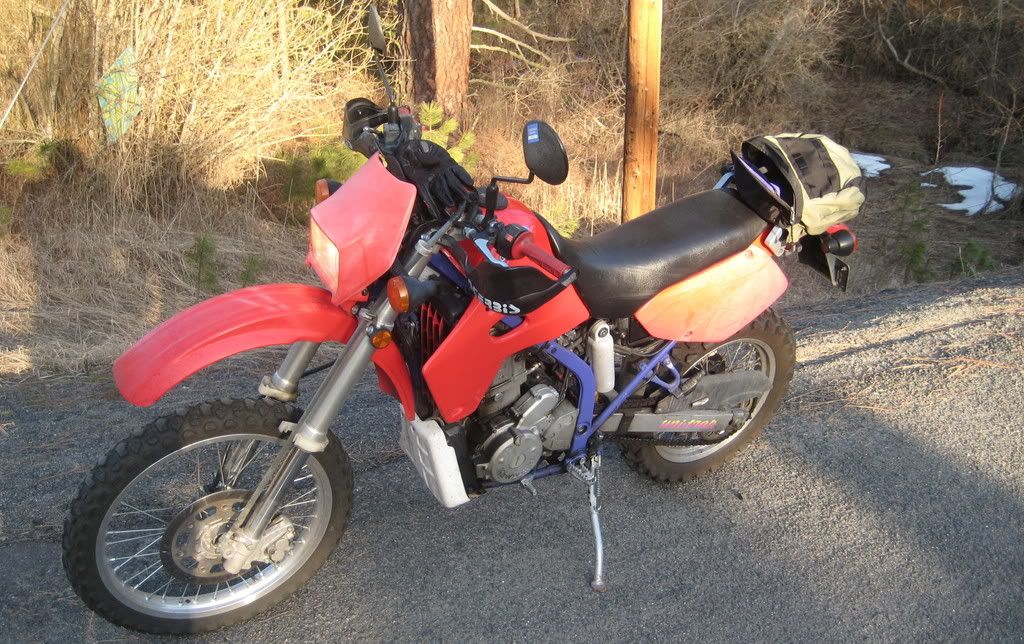 croppedcycle1.jpg