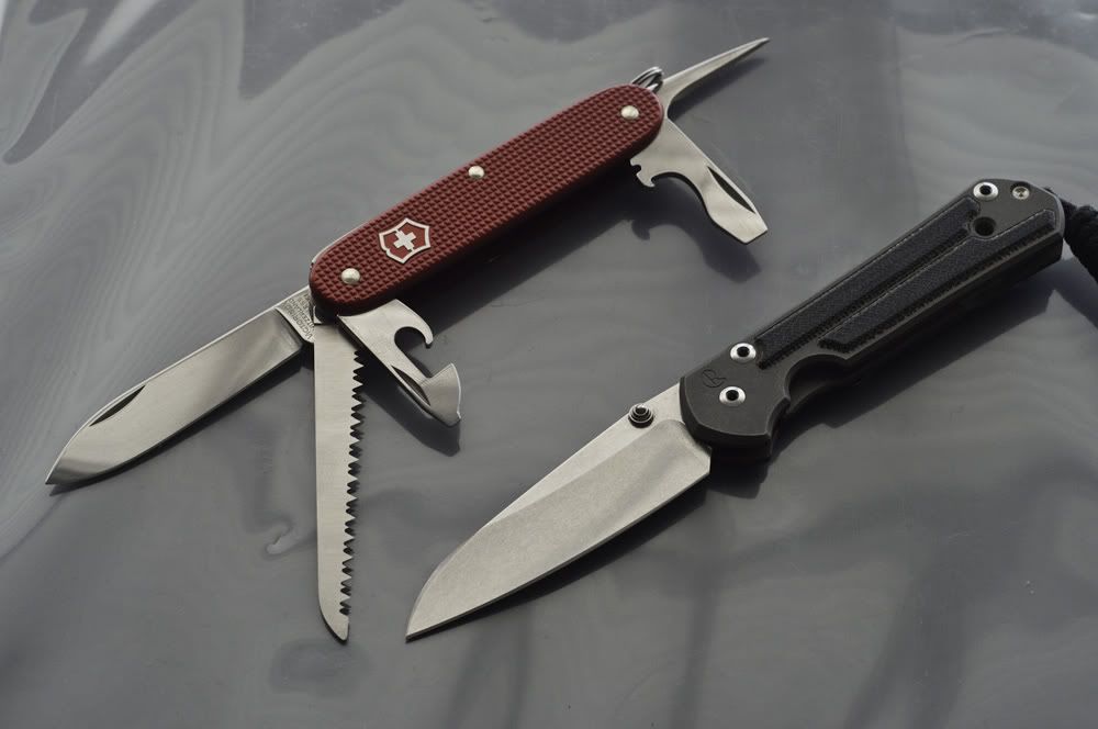 SAK_Insingo1of1.jpg