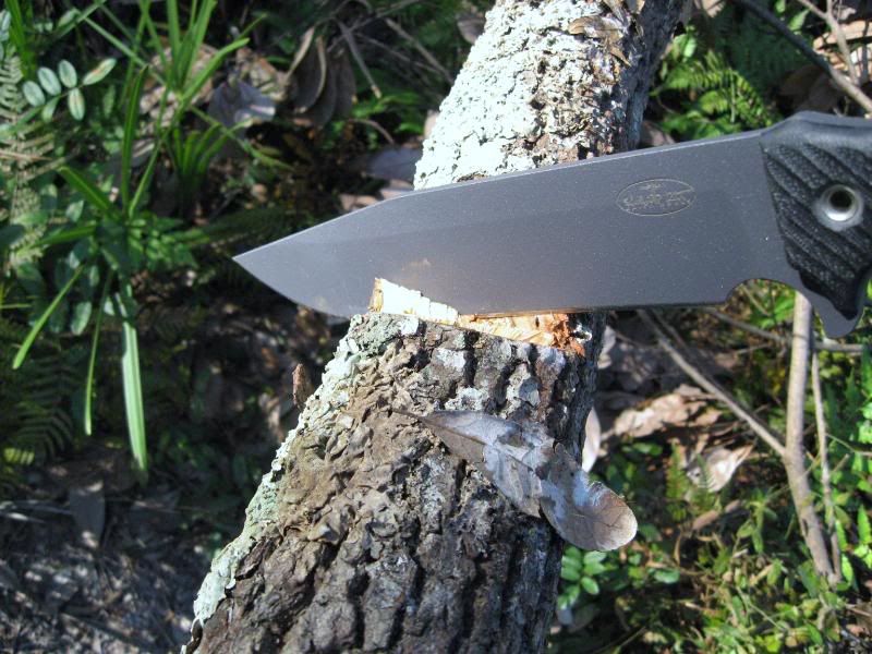 M9CG008.jpg