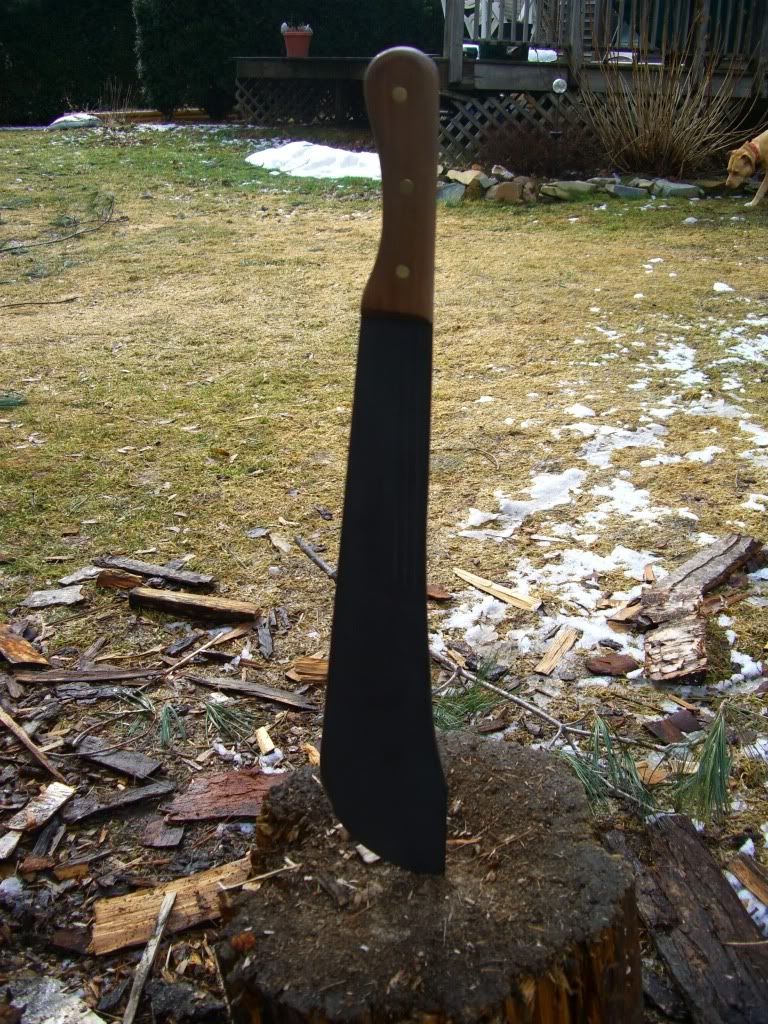 CIMG8659.jpg