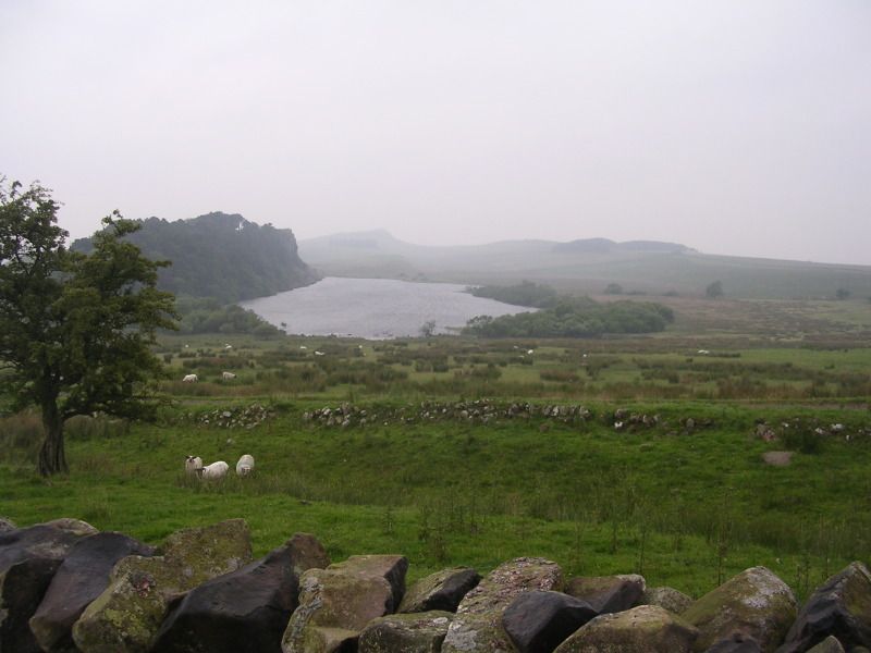 DSCN4467.jpg