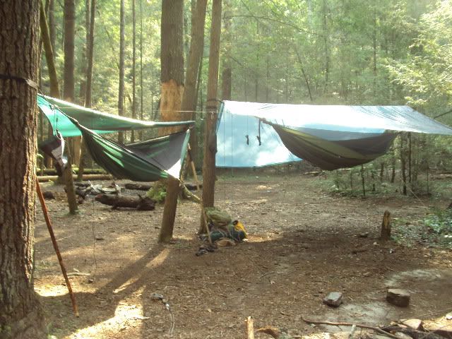 DSC00556.jpg