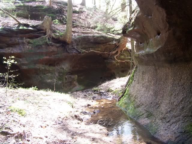 100_2920.jpg