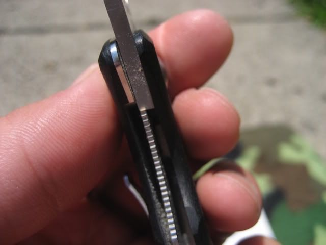 009-6.jpg