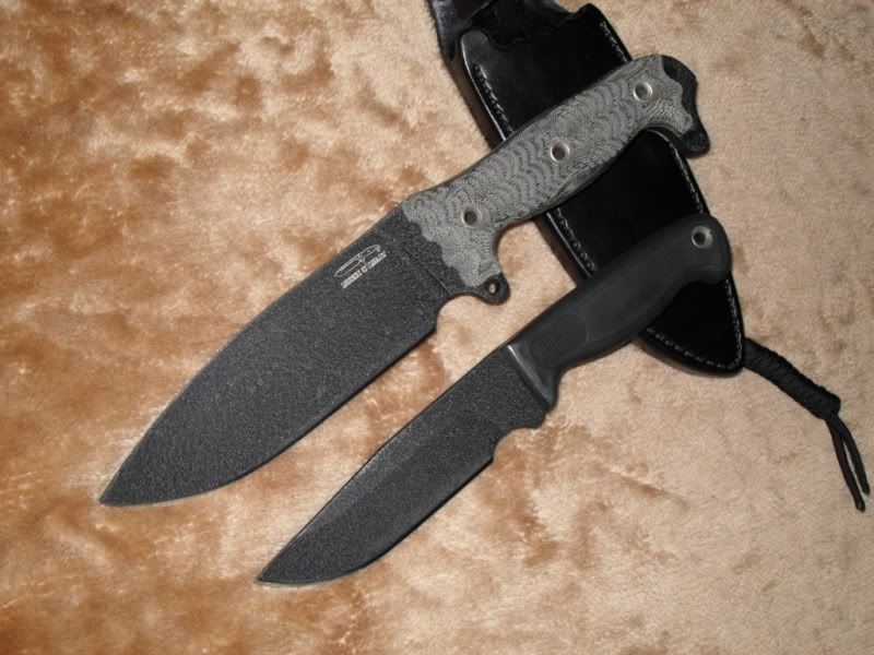 SDC10347.jpg