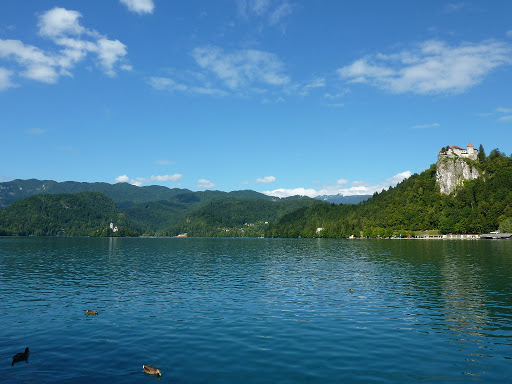 P1010200.JPG