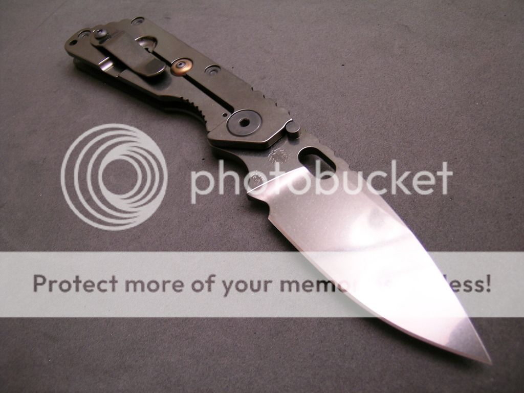 DSCN4595_zpstxbevvwh.jpg