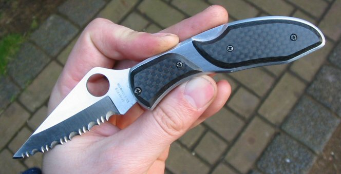 spydercodelica.jpg