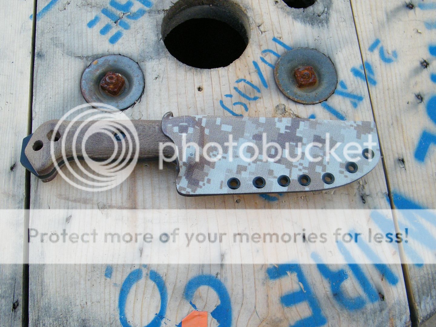DSCF8253.jpg