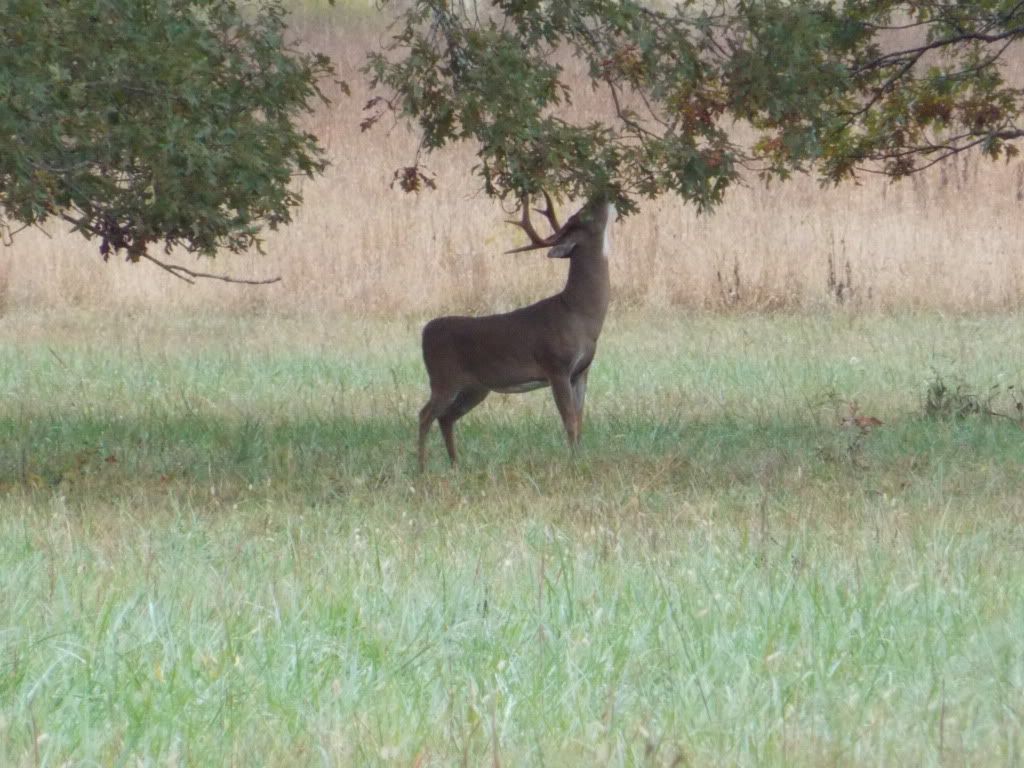 CadesCove10-7-12080.jpg