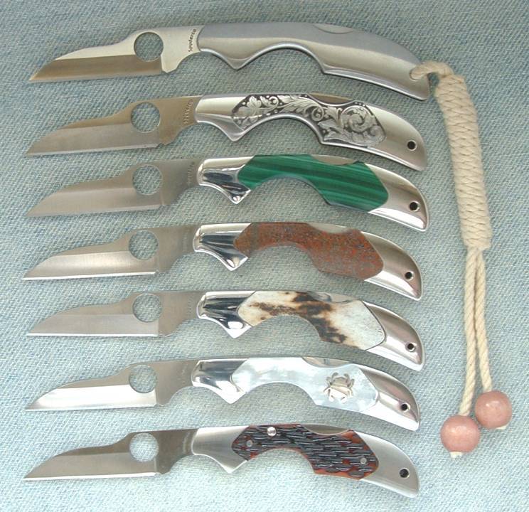 7_kiwis_open.jpg