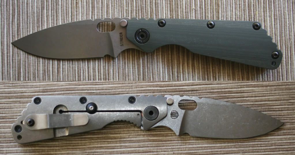 StriderSMF-CCRG1.jpg
