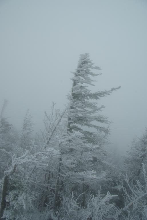 MtLafayette119.jpg
