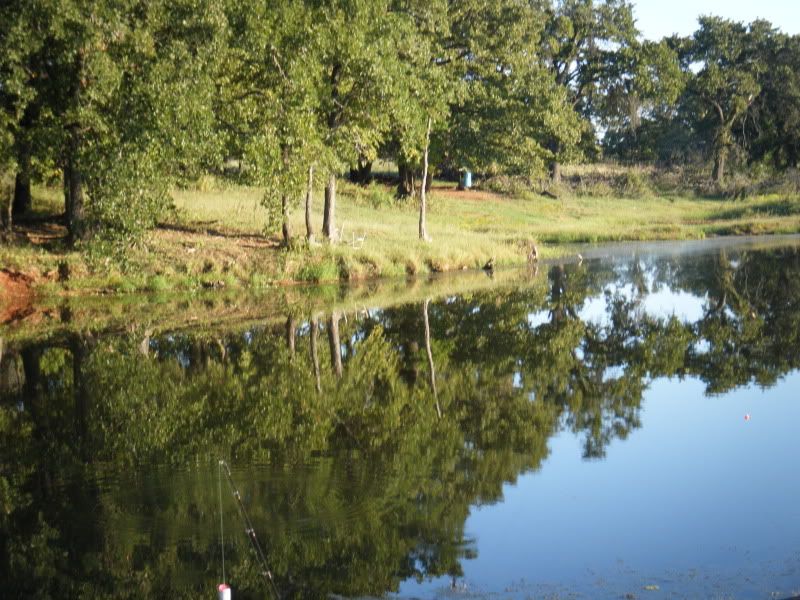 DSCF0532.jpg