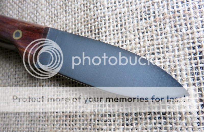 IMG_1460.jpg~original