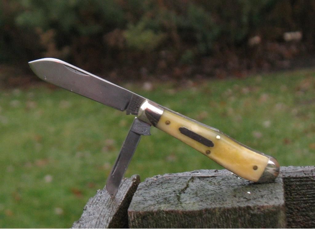 GEC92EJCalicoFa_zps6d68a845.jpg