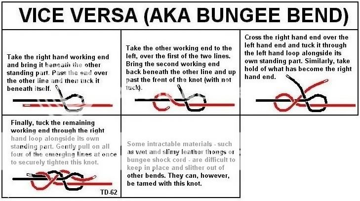 ViceVersaAKABungeeBend.jpg