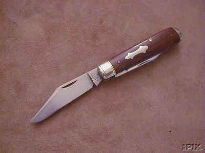 ECSimmonsKK_SceptreShield-2.jpg