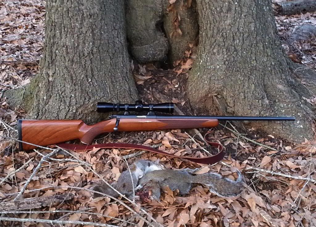 Squirrel26and27of2013-2014.jpg