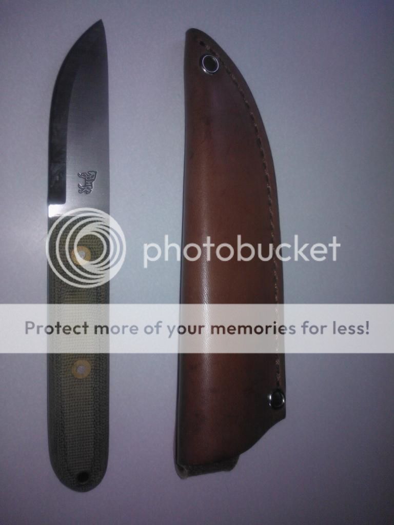 WP_000428.jpg