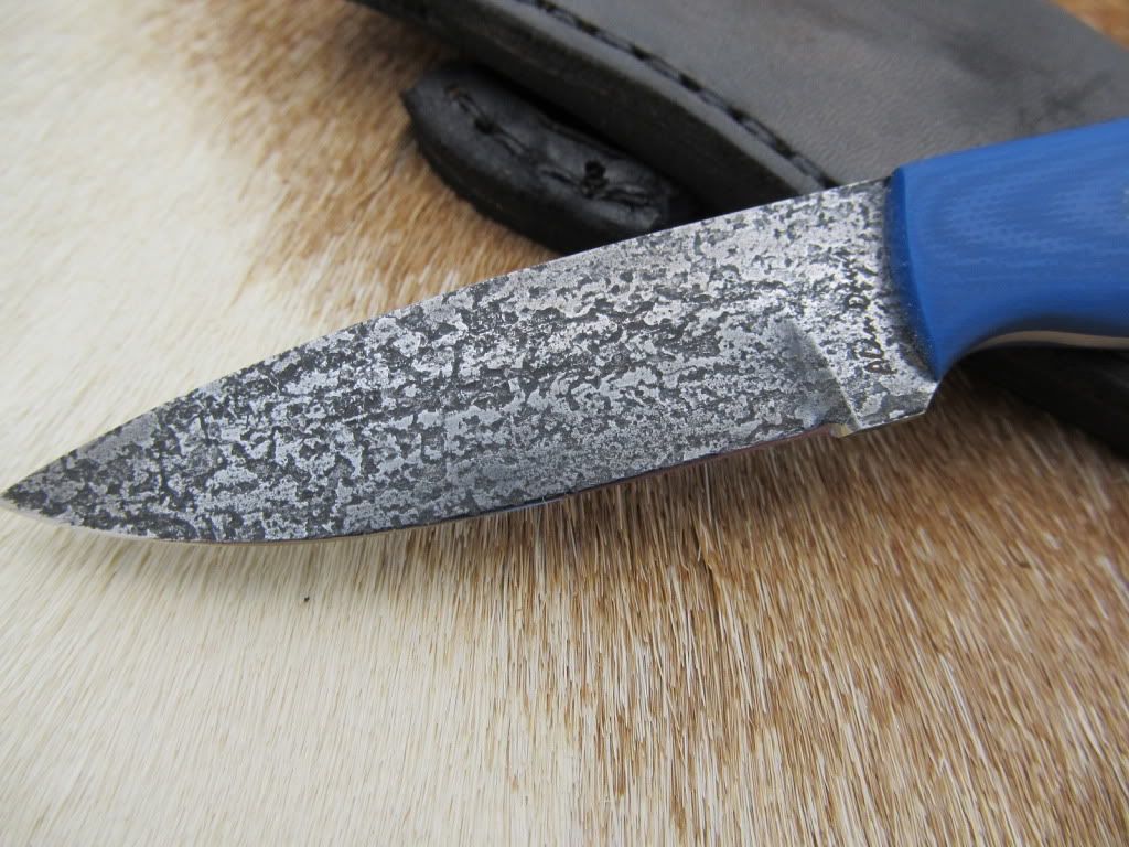 Blueg10edc004.jpg