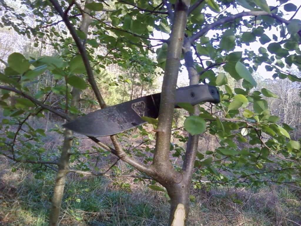 knife016.jpg