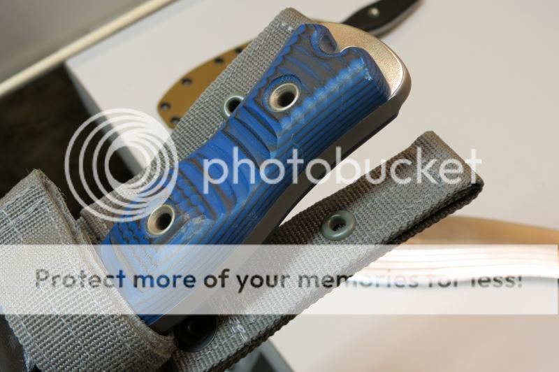 IMG_0780_zps602f0aa0.jpg