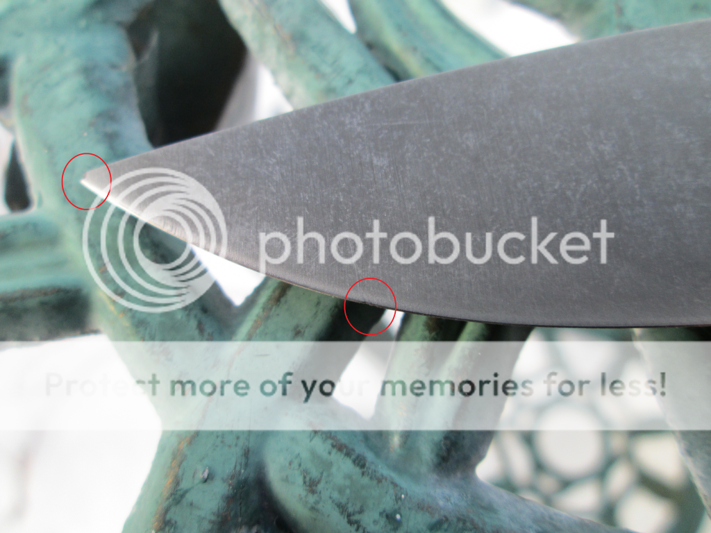 IMG_1052c_zps591db9b1.png
