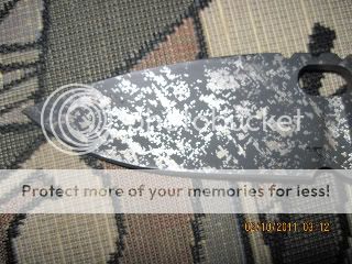 digi4.jpg