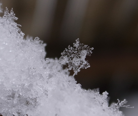 2013.01.11.R0017141.JPG