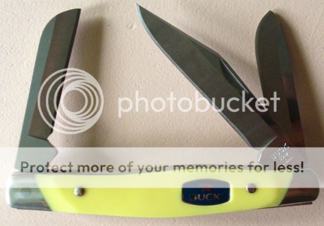 buck301_zpsbef323db.jpg