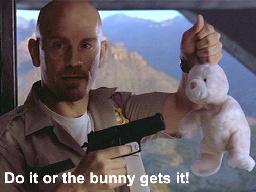 bunny.jpg