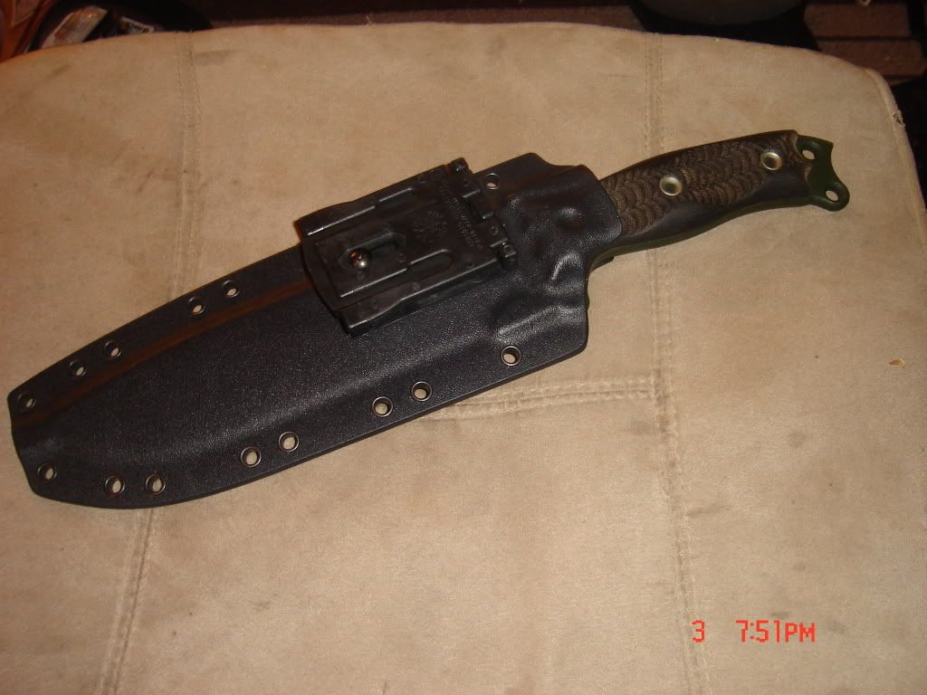 bussenmsfnotrade003.jpg
