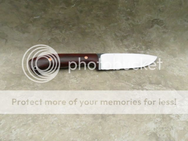 IMG_1626_zps25e64620.jpg
