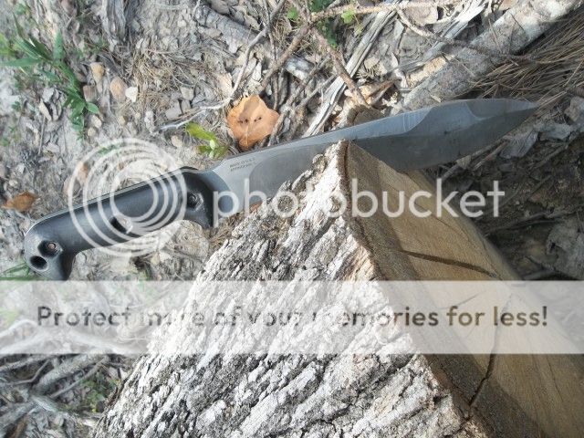 100_3566.jpg