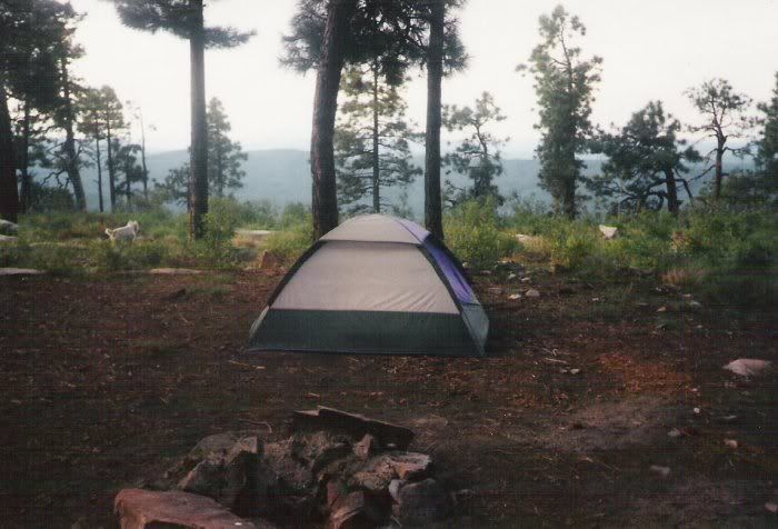 camp3.jpg