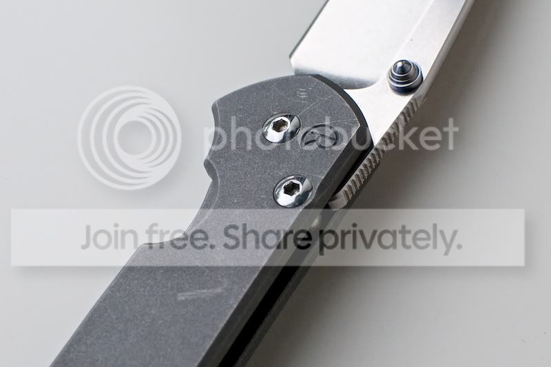Sebenza21Small3.jpg