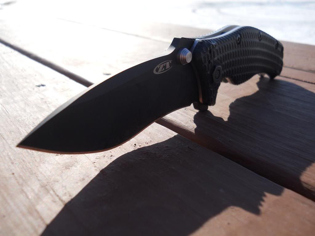 ZT006_zps07e369cf.jpg