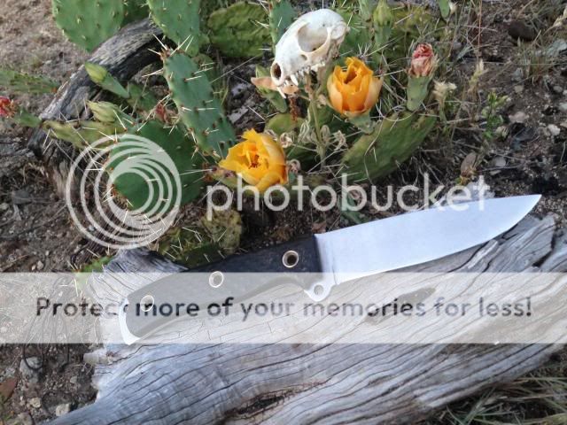 photo6_zpsce92ce12.jpg