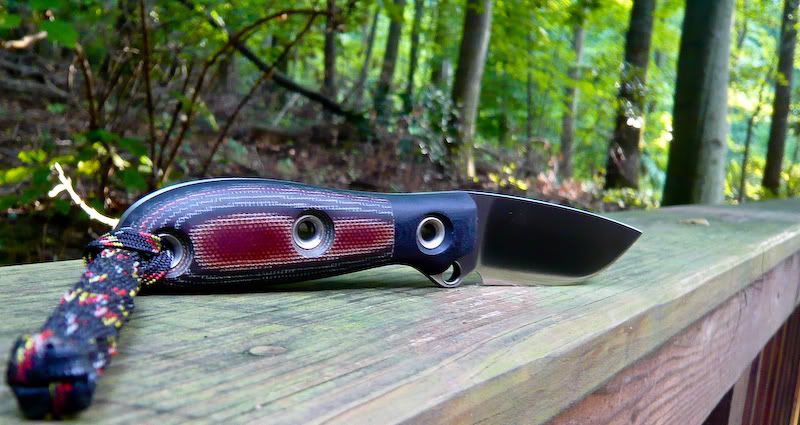 BUSSE-CS_GREX-GW_BLADE2011c.jpg