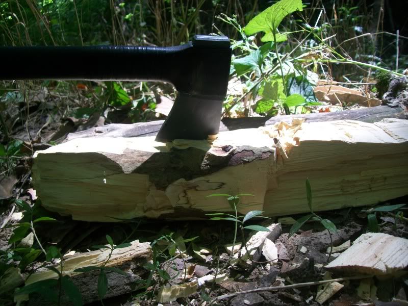 Picture025.jpg