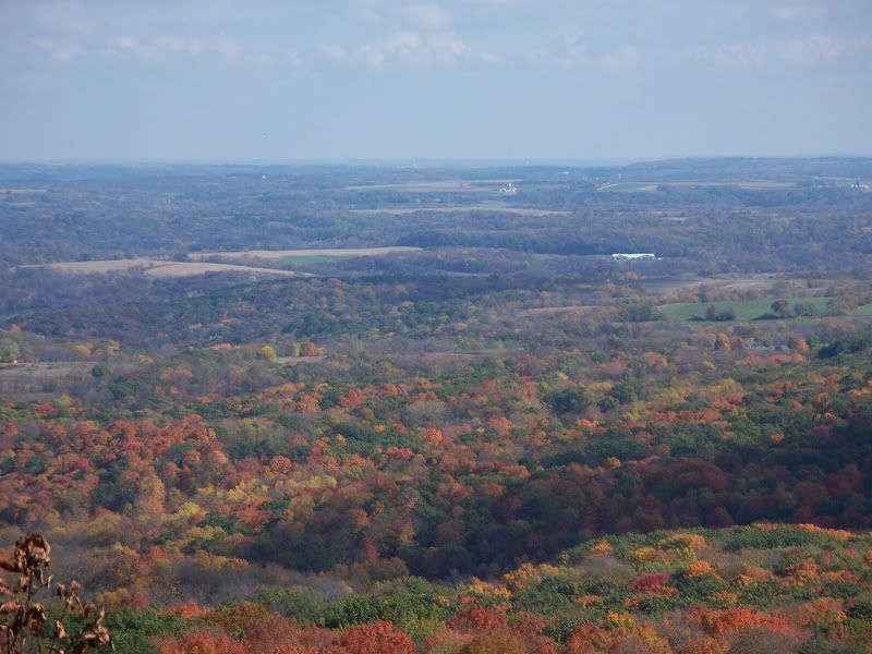 2956244423_70afacd723_b.jpg