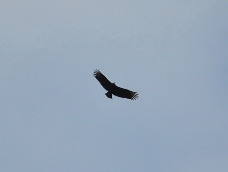 DSC_5671.jpg