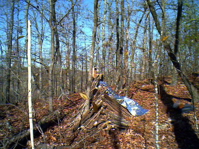 IMG00970.jpg